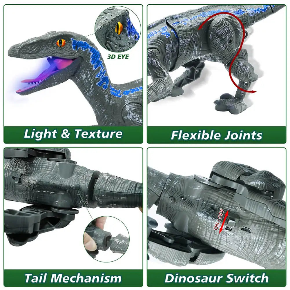 Remote Control Dinosaur Toys